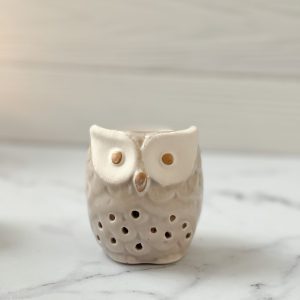 اسانسوز جغد کوچک