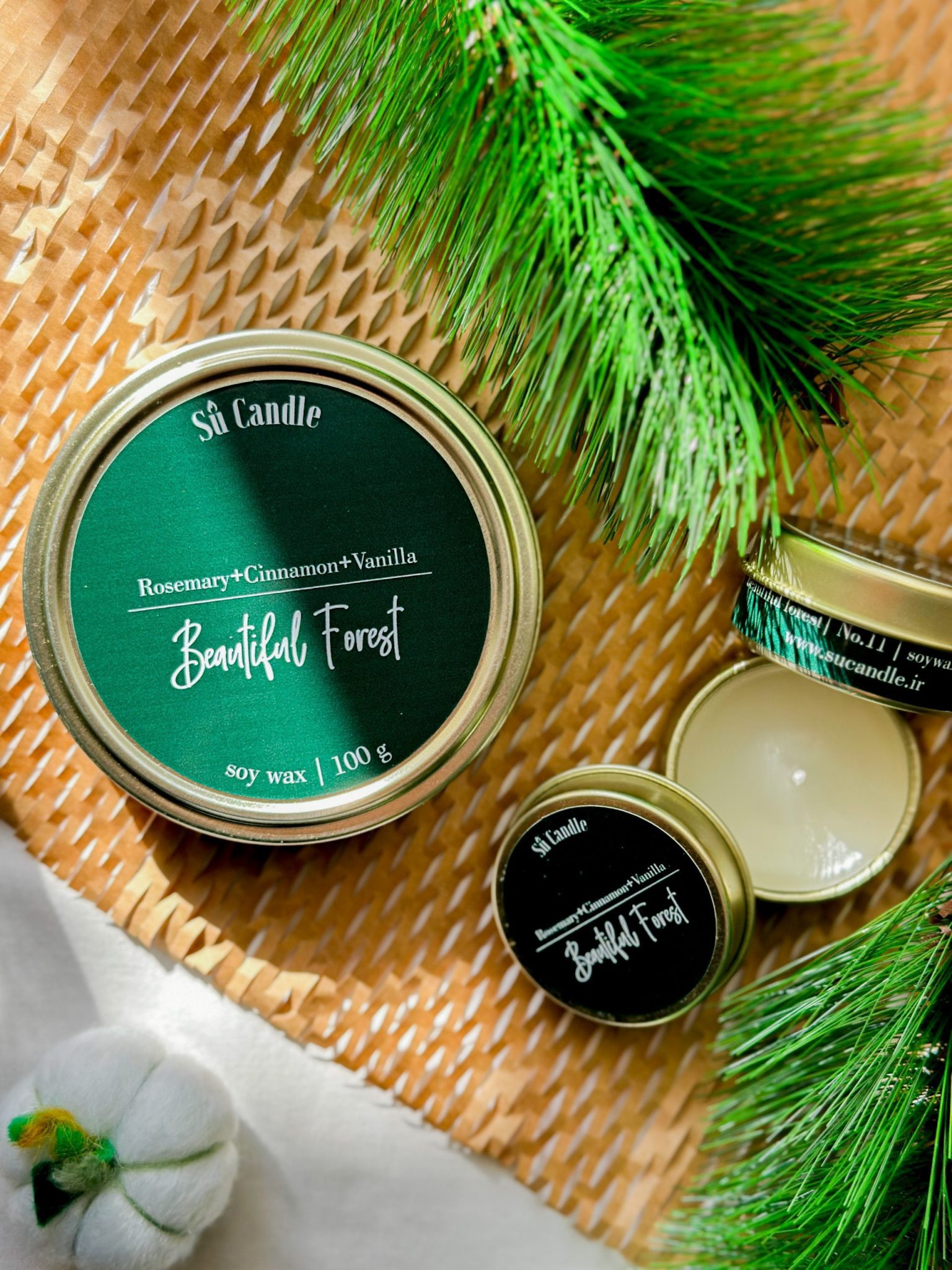 رایحه جنگل زیبا Beautiful Forest