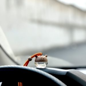 خوشبوکننده خودرو(فانتزی)