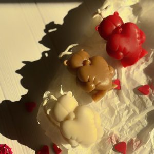 خرس قلب به دست