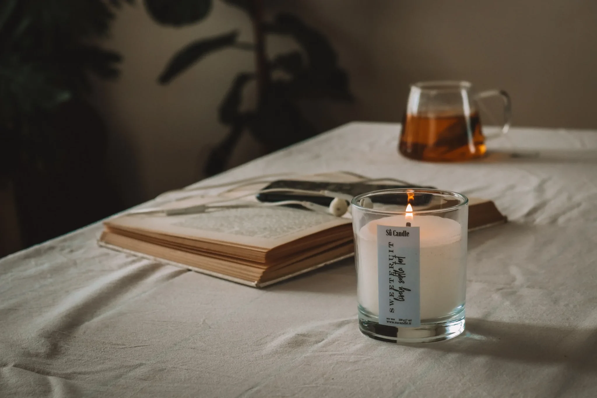 آشنایی با شمع اکالیپتوس